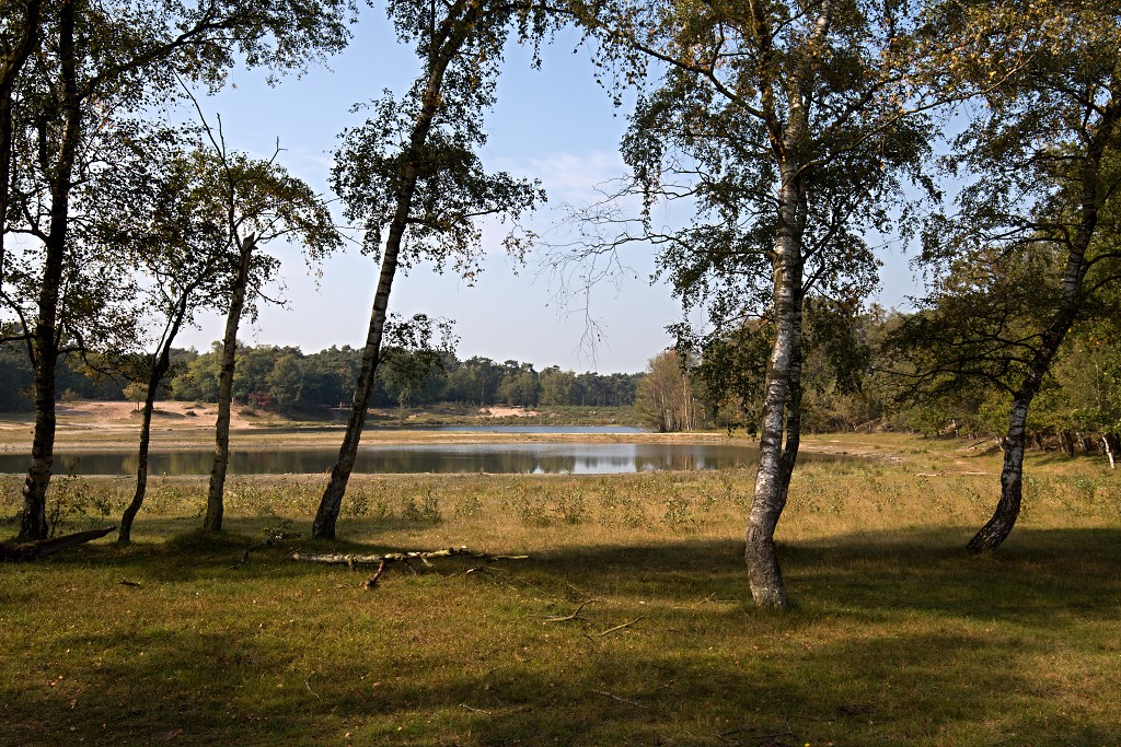 baronie van breda leemputten boswachterij dorst mastbos chaamse bossen Liesbos Vuchtpolder hdr bos Strijbeekse Heide staatsbosbeheer